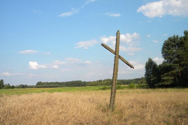 Początki Grupy 6 - czyli trochę historii